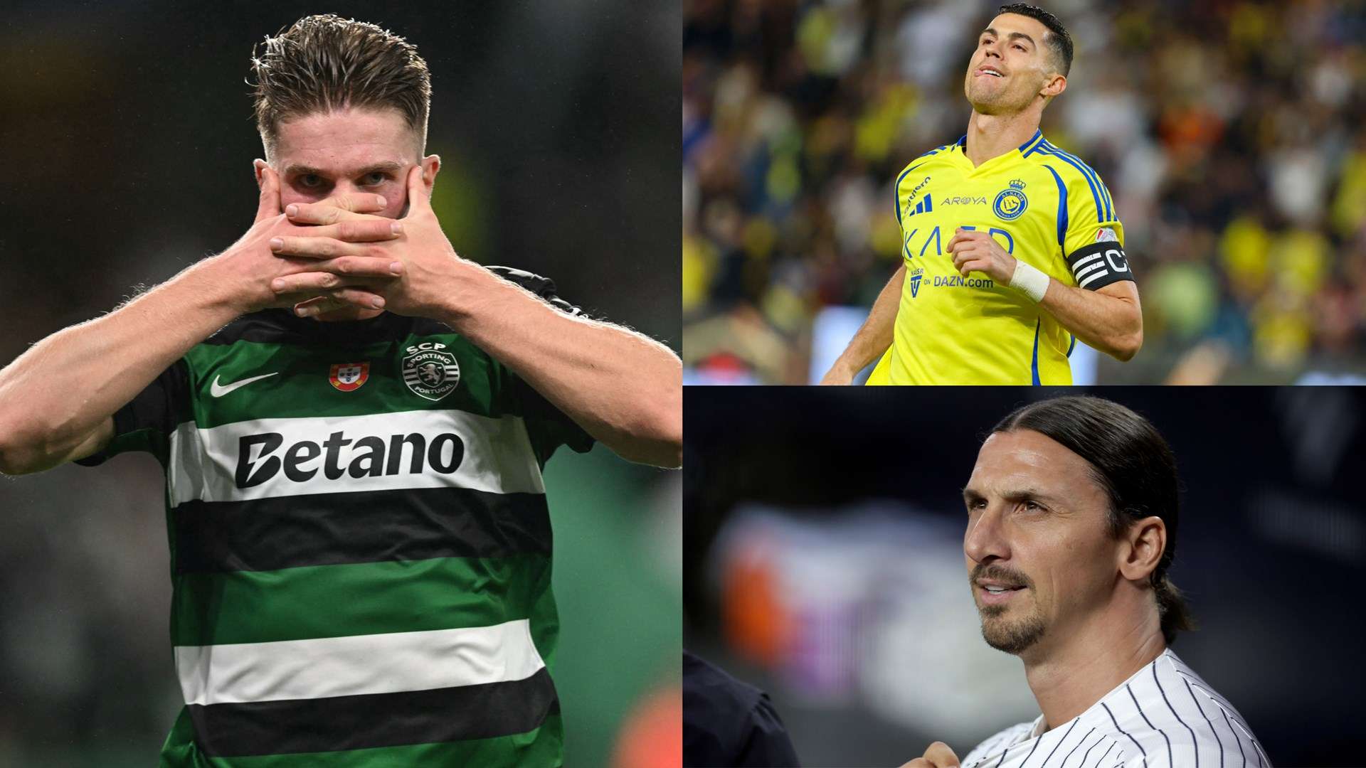 受到限制 受到限制