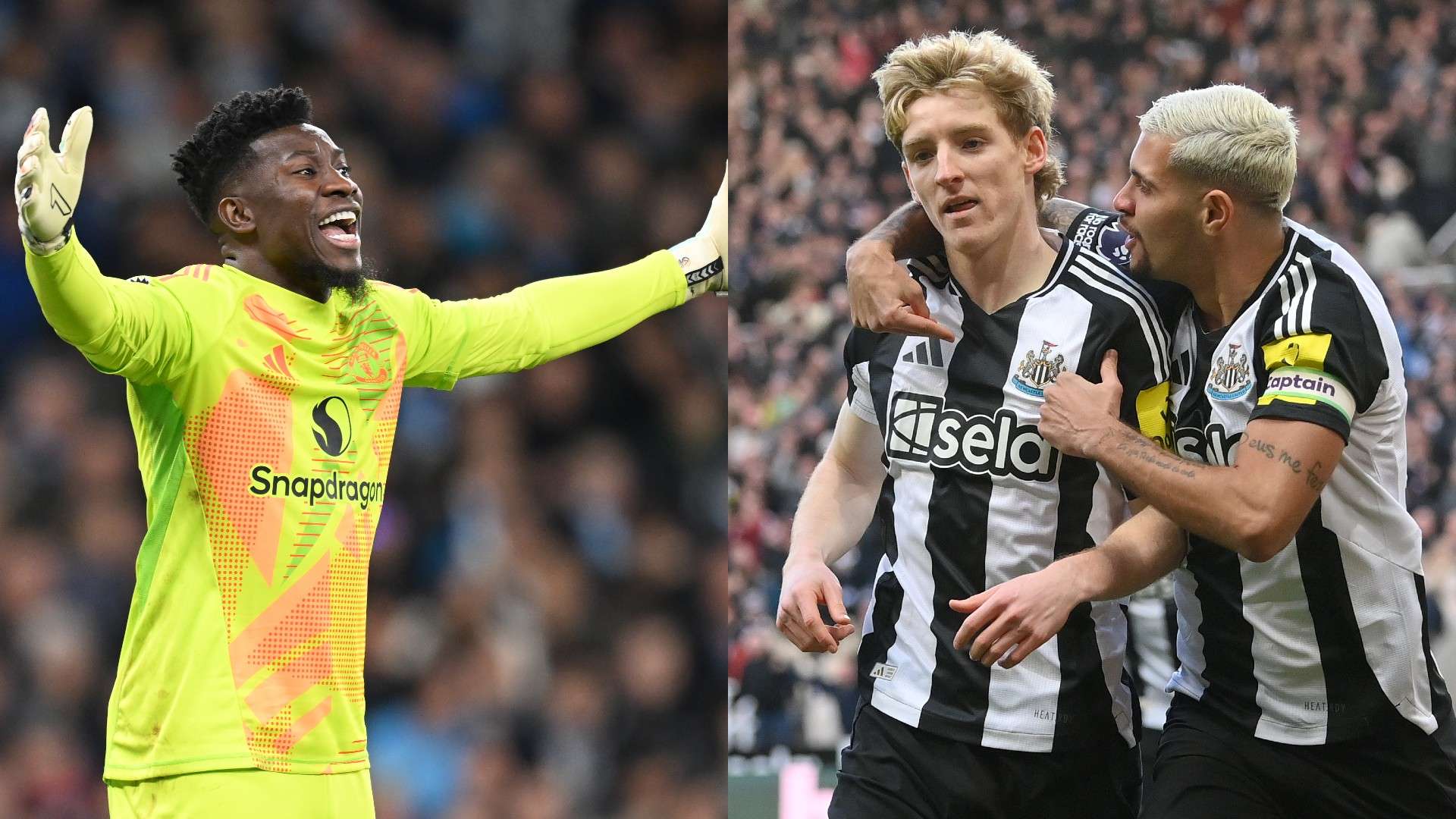 与训练之间 与训练之间